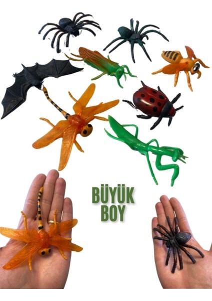 Oyuncak Böcek Seti Böcek Türleri Oyun Seti Dev Boy 8 Parça