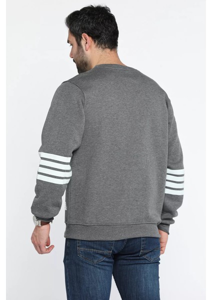 Üç Iplik Şardonlu Bisiklet Yaka Erkek Sweatshirt fiyatları