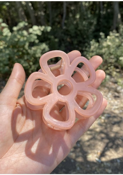 Pembe Daisy Toka fiyatları