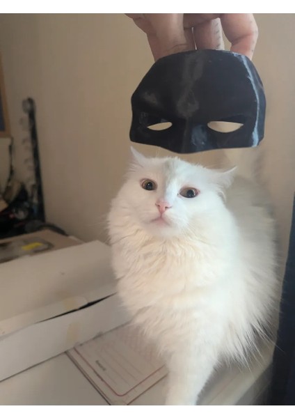 Batman Kedi Maskesi