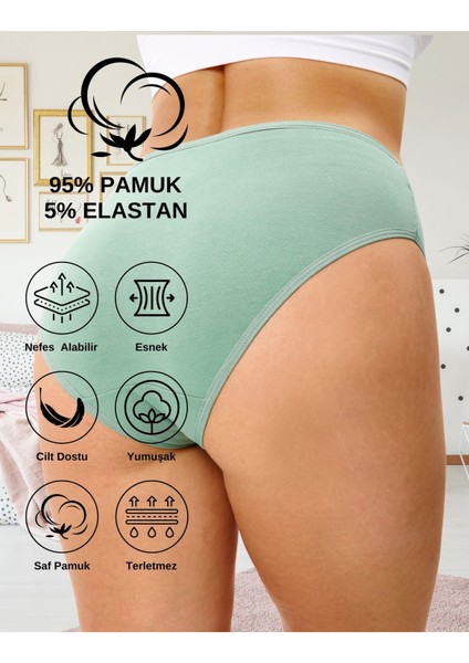 Kadın Pamuklu Külot Basic Slip Renkli 10'lu Paket Yüksek Bel Iç Çamaşırı (Multicolor - X37)