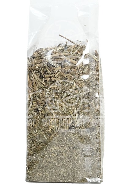 Yoğurt Otu 100 gr fiyatları