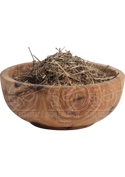 Yoğurt Otu 100 gr modelleri