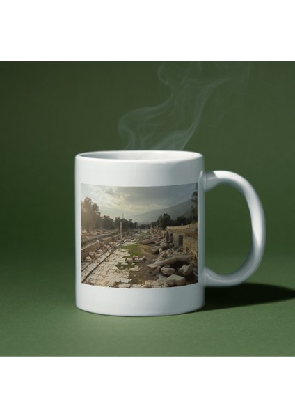 Nysa Antik Kenti Baskı Kupa Bardak Kahverengi Tabela modelleri