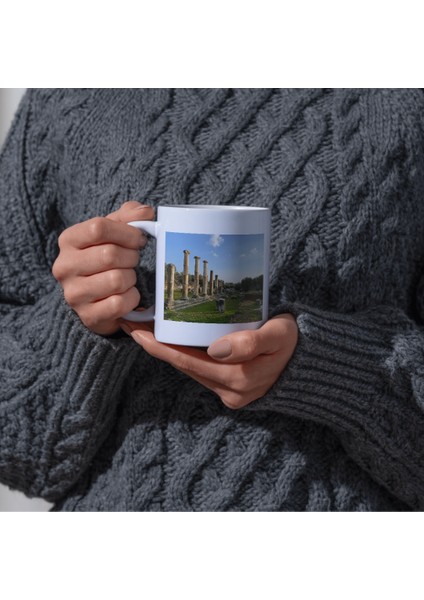 Nysa Antik Kenti Baskı Kupa Bardak Kahverengi Tabela fırsatları