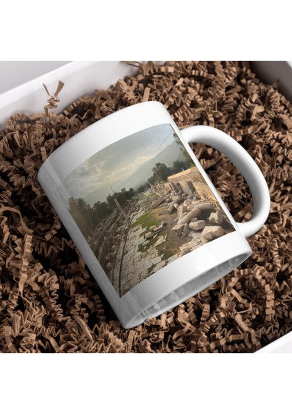 Nysa Antik Kenti Baskı Kupa Bardak Kahverengi Tabela indirimleri