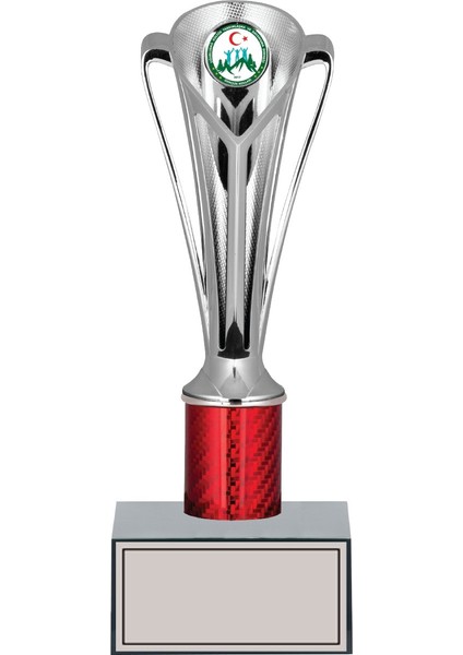 Kişiye Özel Başarı Kupası-Futbol Kupası-Tören Kupası-Okul Kupası-Birincilik Kupası-Şampiyonluk Kupası-Turnuva Kupası Ödül Kupası GN189 22 cm