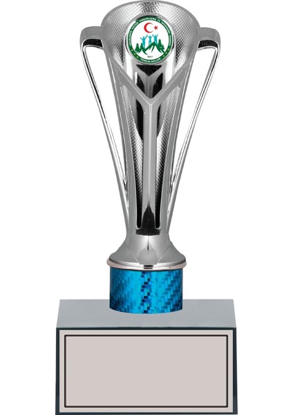 Kişiye Özel Başarı Kupası-Futbol Kupası-Tören Kupası-Okul Kupası-Birincilik Kupası-Şampiyonluk Kupası-Turnuva Kupası Ödül Kupası GN190 22 cm