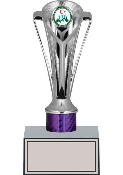 Kişiye Özel Başarı Kupası-Futbol Kupası-Tören Kupası-Okul Kupası-Birincilik Kupası-Şampiyonluk Kupası-Turnuva Kupası Ödül Kupası GN191 22 cm