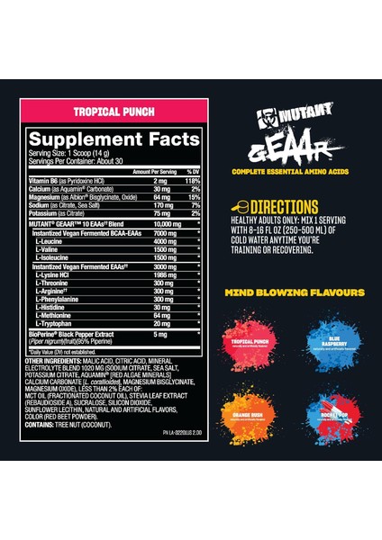 Geaar - 9.4g Of Eaa Amino Powder + Arginine, 7g Bcaas, 4g Leucine, Electrolytes