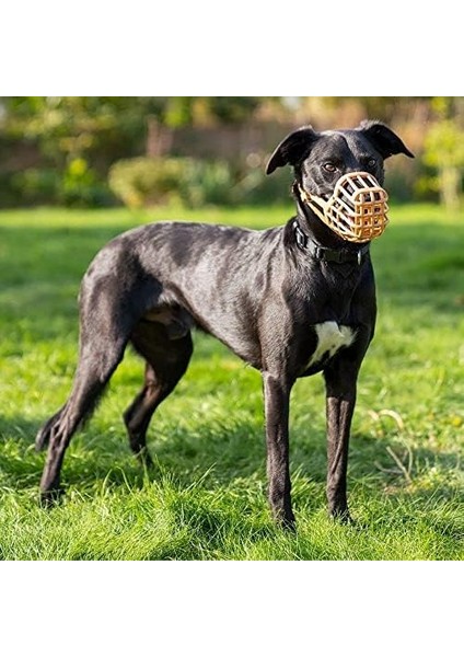 ‎Company of Animals Company Of Animals Baskerville Köpek Ağızlığı Boyut 10 fırsatları