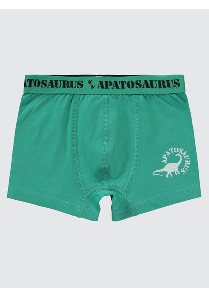 Erkek Çocuk 3'lü Boxer Set 2-10 Yaş Yeşil