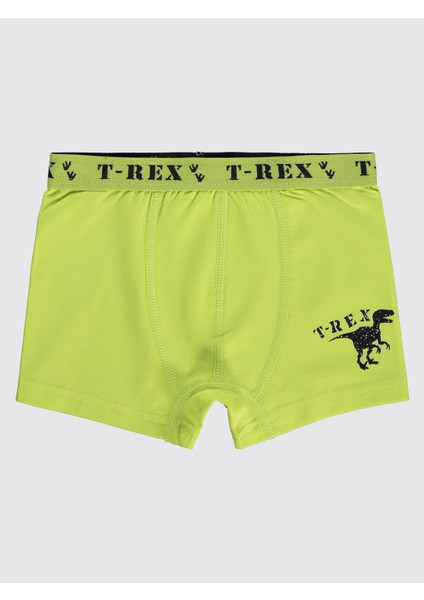 Erkek Çocuk 3'lü Boxer Set 2-10 Yaş Yeşil