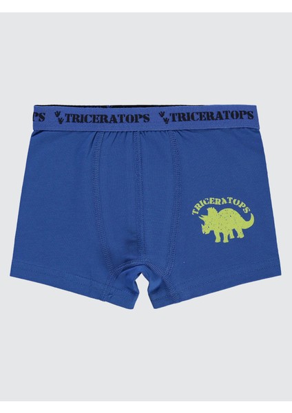 Erkek Çocuk 3'lü Boxer Set 2-10 Yaş Yeşil