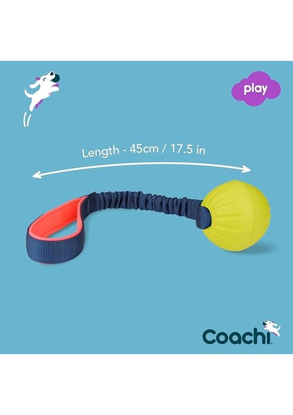 Toss Tugger Köpek Çekiştirme Oyuncağı 31 cm