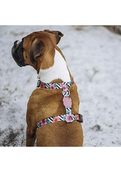 Zee. Dog Mahalo Göğüs Tasması Xs modelleri