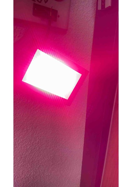 50 Watt Pembe LED Projektör