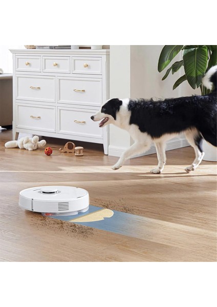 + Max MAX+S5S50S51S55S5 Maxs6s6 Max Robot Süpürge Parçaları Için 10 Adet Yedek Paspas Pedi (Yurt Dışından) fiyatları