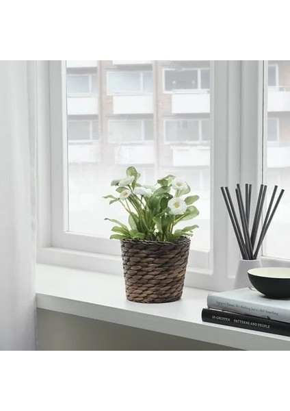 Sumuhome Rattan Hasır Saksı Su Sümbülü 12 cm