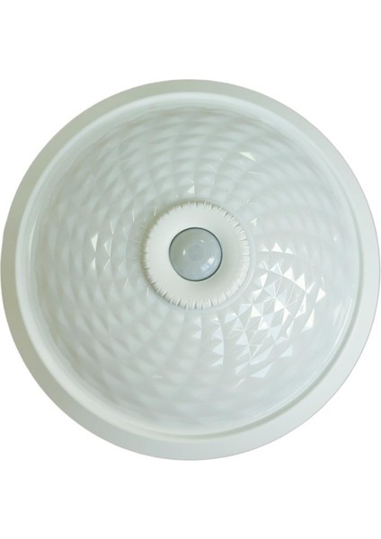 Luce Sensörlü Tavan Armatürü - 2 x E27 Duy - Beyaz Kasa - Pc Gövde - E2002-PT
