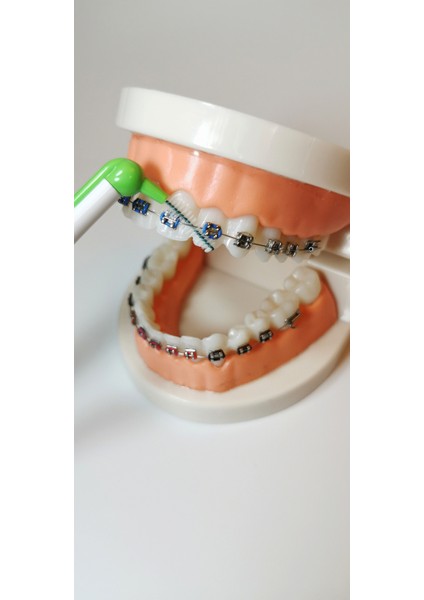 Interdental Set