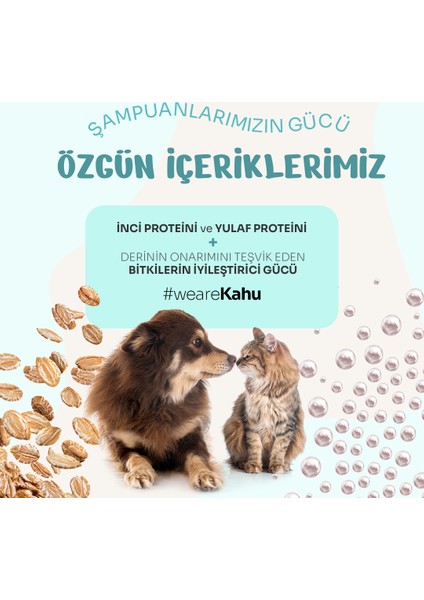 All-In-One Şampuan Nemlendirici, Inci ve Yulaf Proteini, At Kestanesi, Pantenol, %100 Doğal, 400 ml indirimleri