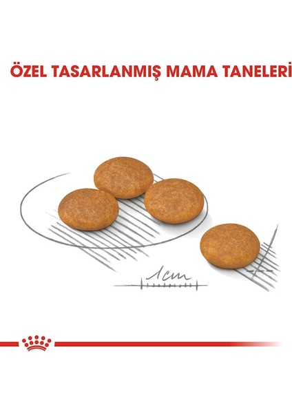 Mini Dermacomfort Yetişkin Köpek Maması 3 Kg