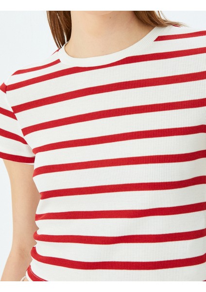 Basic Çizgili Bisiklet Yaka Kısa Kollu Kaşkorse Slim Fit Tişört