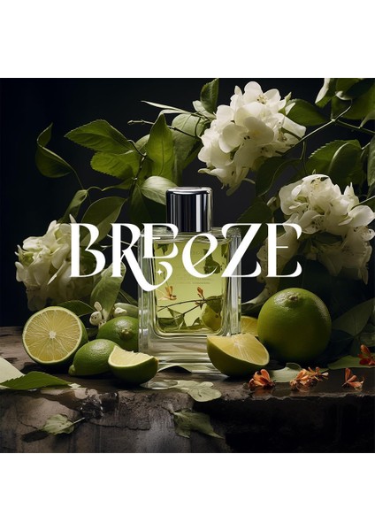 Breeze Auramax Koku Kartuşu 250 ML
