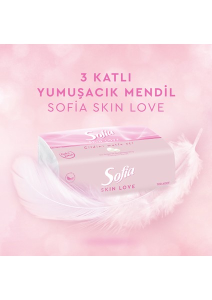 Skin Love Pudra Kokulu Mendil 100'lü