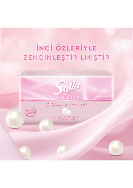 Skin Love Pudra Kokulu Mendil 100'lü