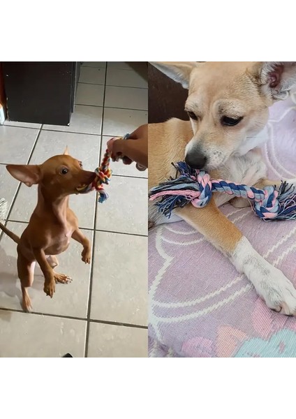 Köpek için Kemik ve İp'ten Oluşan 2'li Eğitim, Diş Temizleme ve Çiğneme Oyuncağı fiyatları