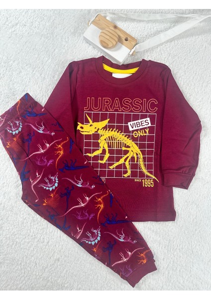 Dinozor Desen Bordo Erkek Çocuk Pijama Takım