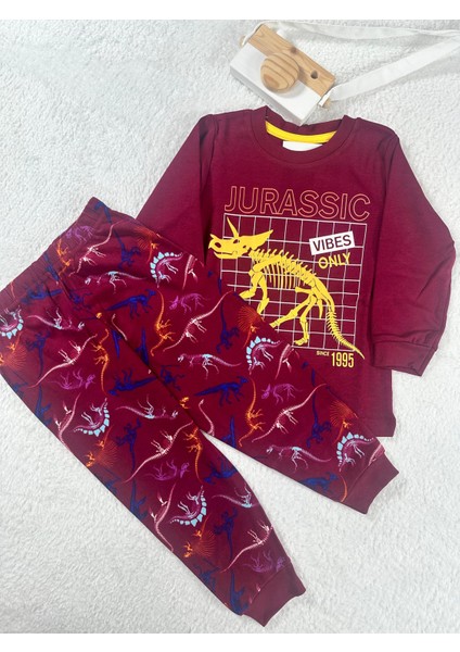Dinozor Desen Bordo Erkek Çocuk Pijama Takım