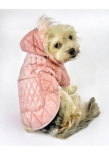 Pink Comfie Köpek Montu Köpek Ceketi Köpek Dış Giyim