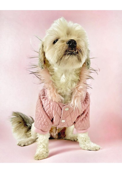 Pink Comfie Köpek Montu Köpek Ceketi Köpek Dış Giyim