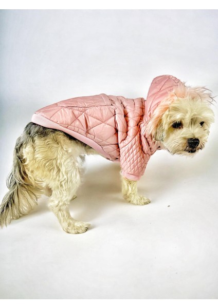 Pink Comfie Köpek Montu Köpek Ceketi Köpek Dış Giyim
