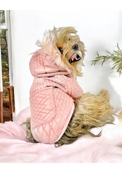 Pink Comfy Köpek Montu Köpek Ceketi Köpek Dış Giyim