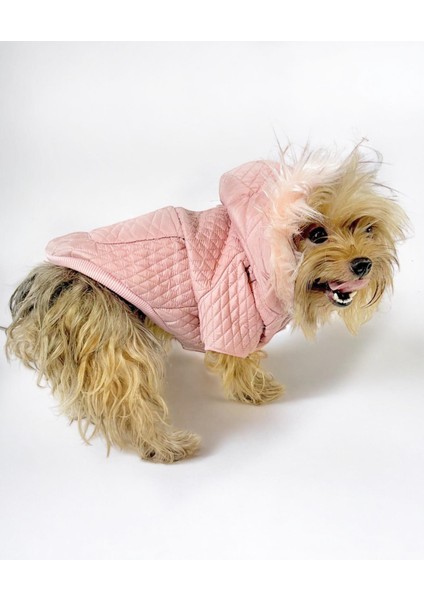 Pink Comfy Köpek Montu Köpek Ceketi Köpek Dış Giyim