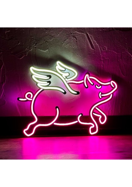 Domuz Modern Metal Üzerine Neon LED Duvar Tabelası - Domuzcuk, Piggy-