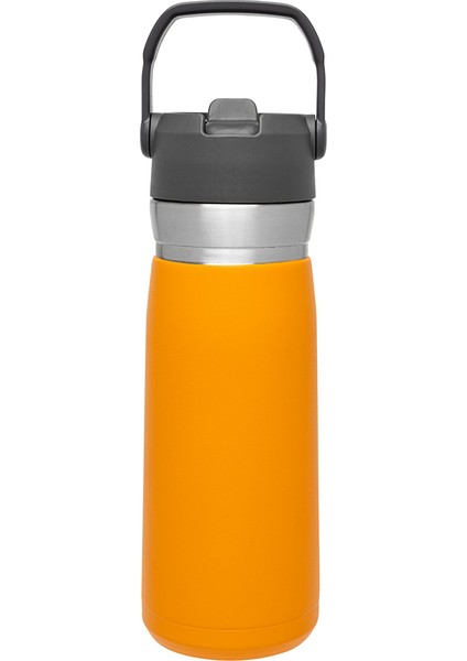 Go Iceflow Flip Straw Su Termosu 0,65 L Turuncu