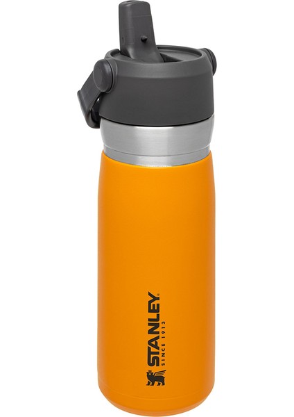 Go Iceflow Flip Straw Su Termosu 0,65 L Turuncu