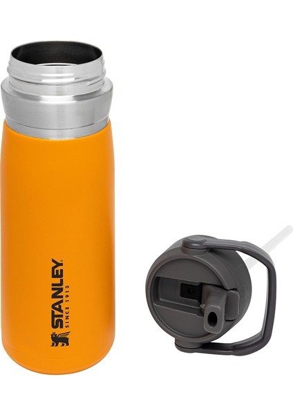 Go Iceflow Flip Straw Su Termosu 0,65 L Turuncu