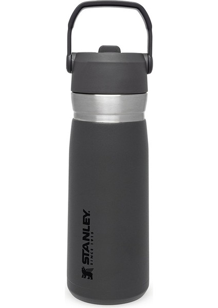 Go Iceflow Flip Straw Su Termosu 0,65 L Füme
