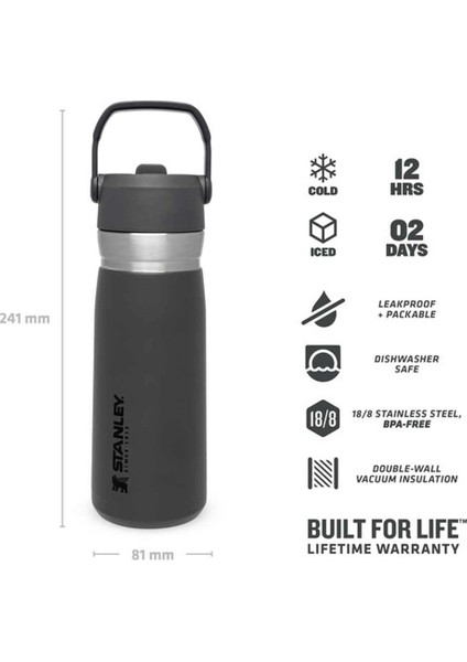 Go Iceflow Flip Straw Su Termosu 0,65 L Füme