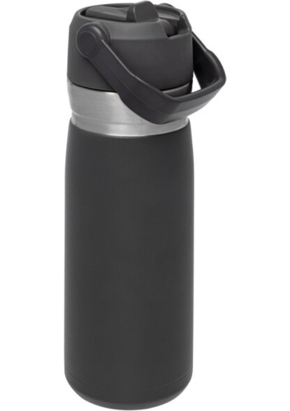 Go Iceflow Flip Straw Su Termosu 0,65 L Füme