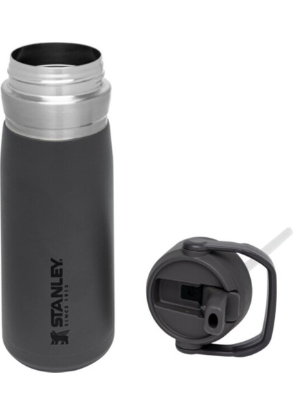 Go Iceflow Flip Straw Su Termosu 0,65 L Füme