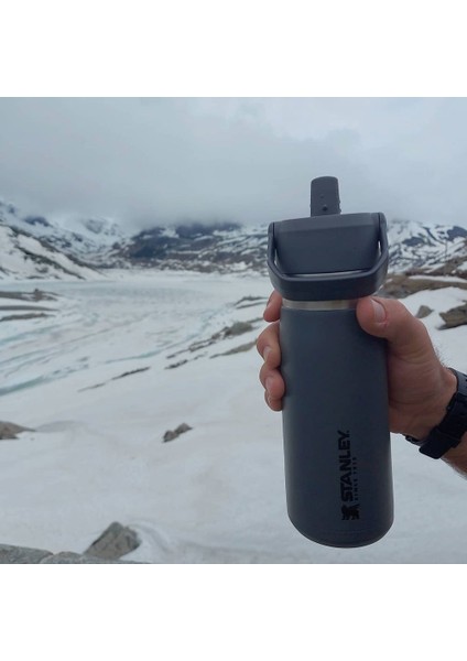 Go Iceflow Flip Straw Su Termosu 0,65 L Füme