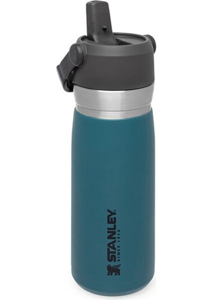 Go Iceflow Flip Straw Su Termosu 0,65 L Petrol