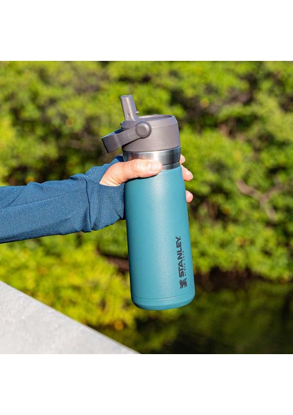 Go Iceflow Flip Straw Su Termosu 0,65 L Petrol